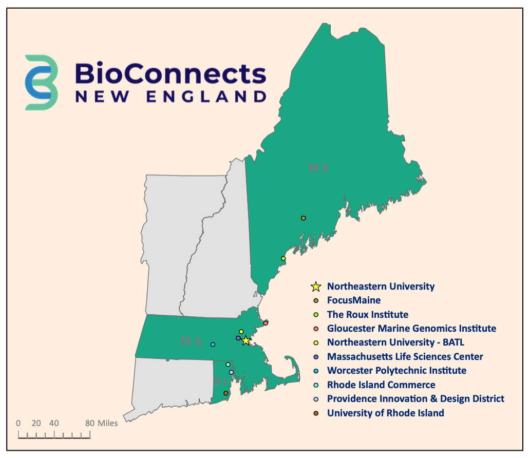 About BioConnects New England