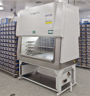 Custom Biosafety Cabinet Series: Animal Research Equipment