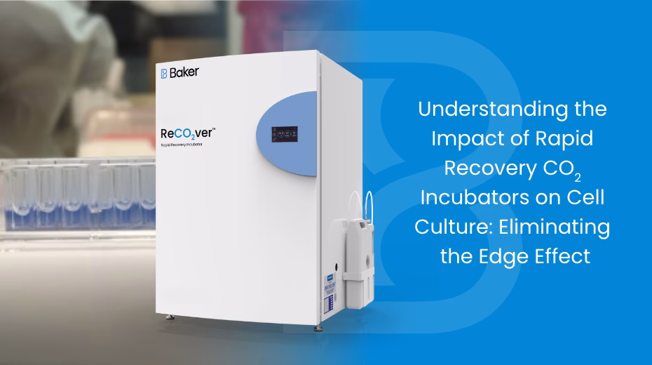 ReCO2ver Incubator